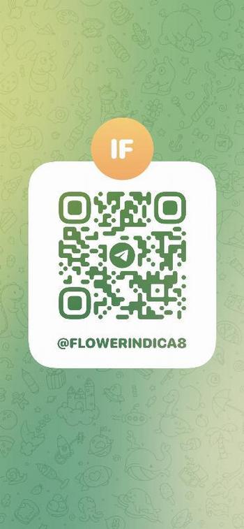 619-790-3948, 25  female escort, Bronx