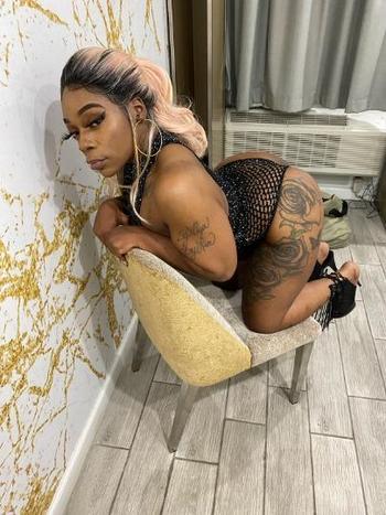 3132056174, female escort, Bronx