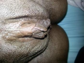 6465479178, female escort, Bronx