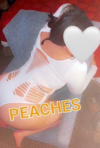 6468891523, female escort, Bronx