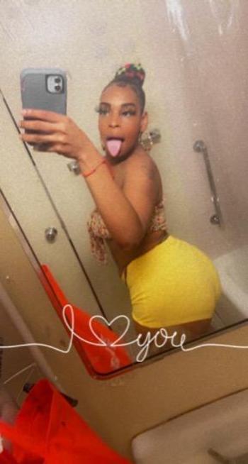 5169951379, female escort, Bronx