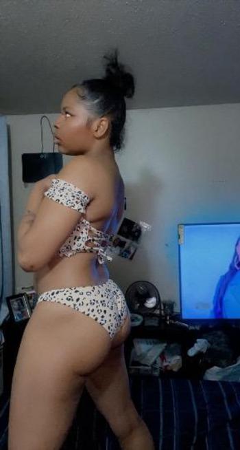 8133035029, female escort, Bronx