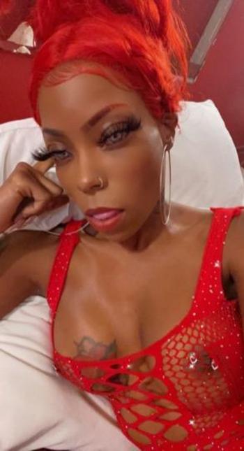 6467019904, female escort, Bronx
