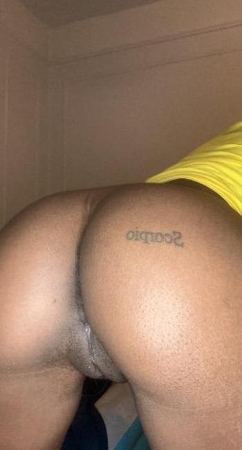 6465733771, female escort, Bronx