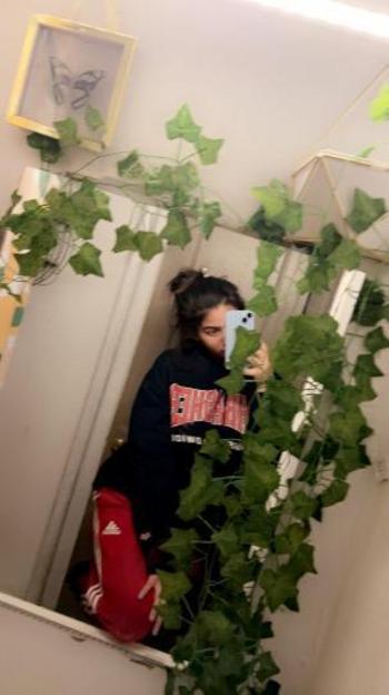 9292831312, female escort, Bronx